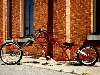atelier RHLKUSTOMS